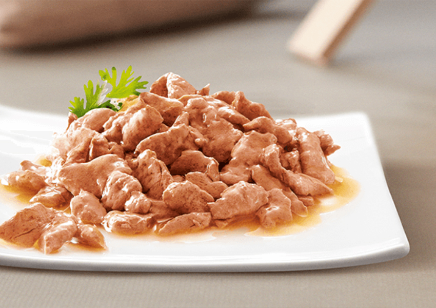 SHEBA wet cat food on a white plate