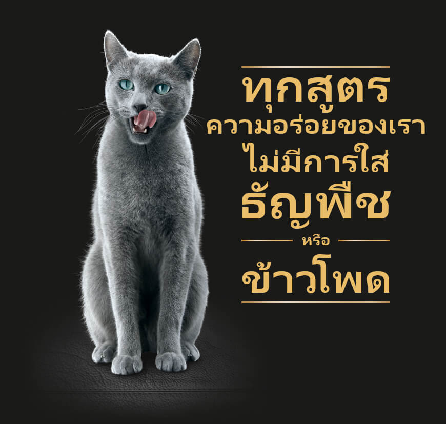 Sheba brand imagery