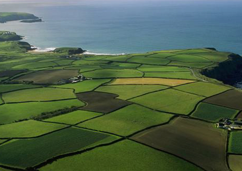 Image of green fields by the coast