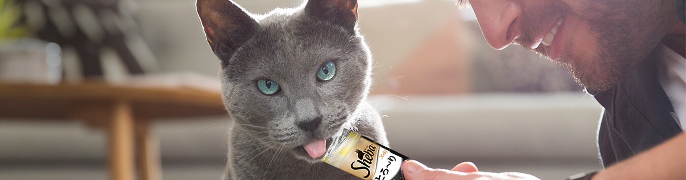 Treats Sheba imagery